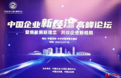 聚焦发展新理念 共议企业新格——首届中国企业新经济高峰论坛新闻发布会成