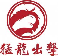 猛龙出击：致力产业深耕 打造体育搏击行业的先行者