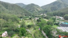 推动茶文旅融合发展 续写产业振兴新篇章