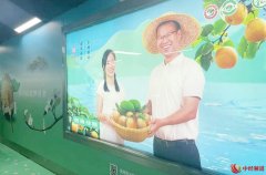 吃连州水晶梨 享山城幸福甜——连州水晶梨2023年广州地铁再出发