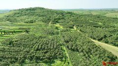 青岛海济润生：以“果”为媒强产业 民营企业助力乡村振兴