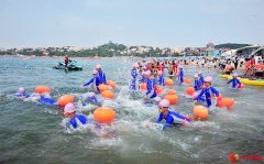 泳动汇泉湾 青岛市公开水域游泳公开赛完美收官