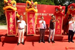 汽车电动智能化新机遇