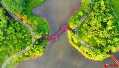 《湿地公约》批准在中国设立国际红树林中心