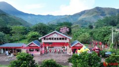 广东博罗：全力打造茶产业文旅胜地 提升品牌价值助力乡村振兴