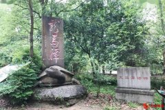 泸州龙马潭：全面提升产业质效 夯实城市经济发展硬支撑