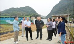 “深调研”把脉献策 助力大崀高质量发展