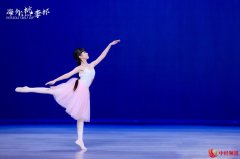 海外•桃李杯第十四届国际舞蹈展演广东站圆满