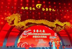 龙腾盛世祥瑞至 万民欢庆乐无边——广西宾阳县新春炮龙节百龙舞激情上演