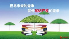 赋能创新 讯深国际助推知识产权价值与变现