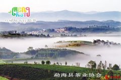 踔厉前行再出发 齐心协力开新局——云南勐海县茶业协会第三届理事会会员代