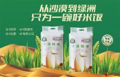 绿色革命在沙海中绽放 新质生产力在稻田地里“乘风破浪”