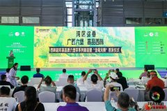 广西西林六堡茶闪耀2024中国（深圳）春季国际茶产业博览会