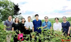 共享“莓”好 2024黑莓文化采摘节将于7月15日盛大开幕