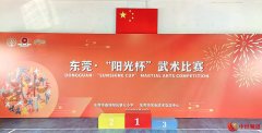 “武”出精彩 向美而行——广东东莞 “阳光杯”武术比赛完美收官
