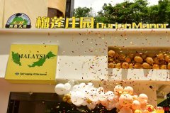 精选马来西亚顶级榴莲 鳄鱼大哥榴莲庄园盛大开业