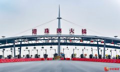 旅客突破300万人次！港珠澳大桥“暑期热”持续