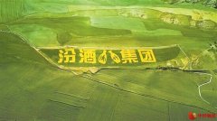 五载粮心路 一部品质史——汾酒第一车间深入新疆奇台