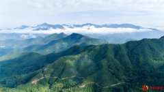 【行走河南•读懂中国伊】伊川以乡村旅游助推全域旅游