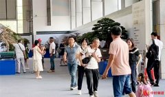 第十四届粤港澳台（中山黄圃）盆景艺术博览会国庆迎客，人气火爆获赞誉