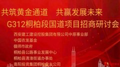 共筑黄金通道 共赢发展未来——G312线桐柏境改扩建项目招商投资研讨会圆满举