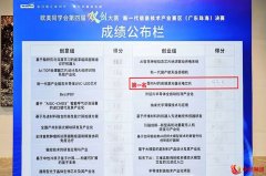 “最强大脑”赋能 粤港澳大湾区打造创新高地