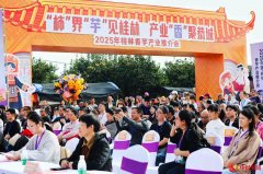 第二十二届恭城月柿节持续火热 展现乡村振兴新气象