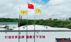 深耕橘红生态赛道 橘乡集团以新质生产力打造产业新标杆